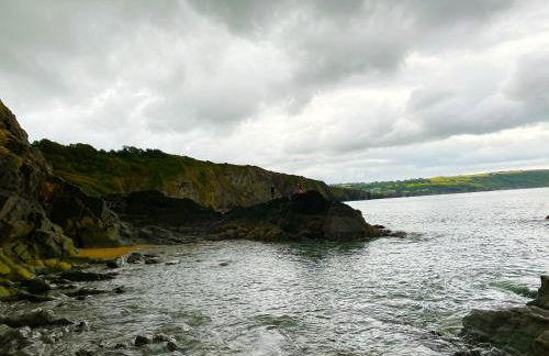 Wild Coastal Retreat at Troed Y Rhiw Aberporth, West Wales - Foto 78