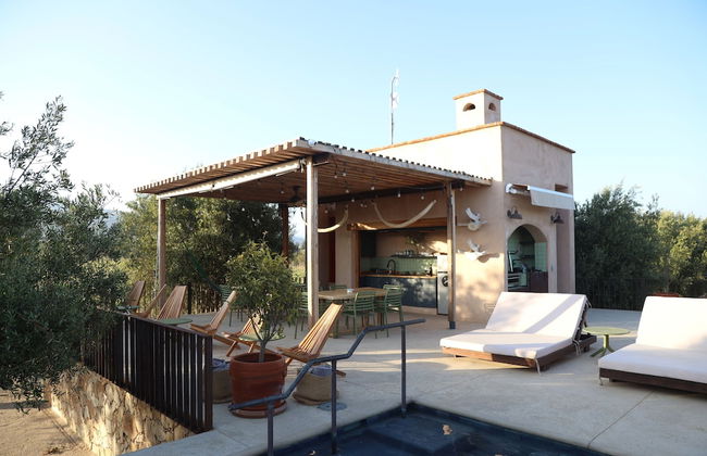 Alma Liebre Viñedos del Valle - Foto 49