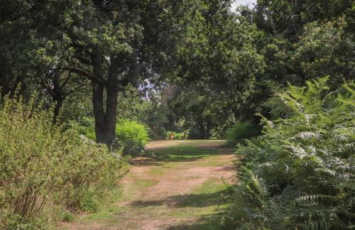 Pheasant Lodge - Photo 37