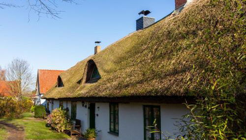 Ferienhaus in Vieregge mit Garten - Foto 3