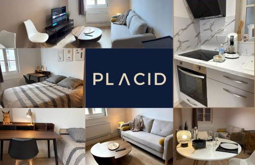 Le Charmant-T2 rénové-Plein centre de Limoges - Foto 3