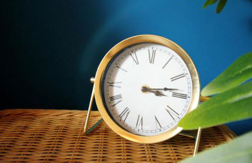 Superior Apartment mit tropical Feeling l 2 Schlafzimmer nahe City l Messe l Flughafen l Hbf - Photo 18