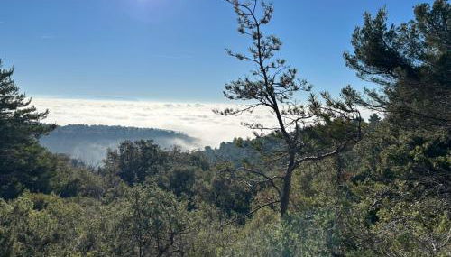 Les goûts et les couleurs - Foto 5