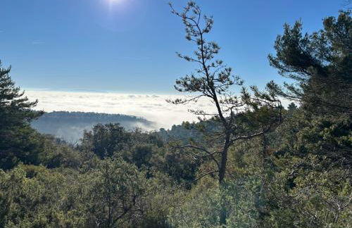 Les goûts et les couleurs - Foto 5