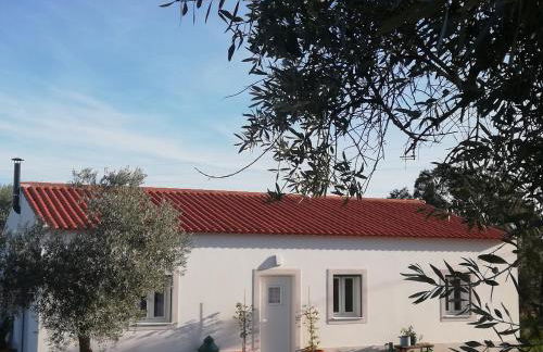 Burrico D`Orada - Rural Stays & Wine Country Tours - Foto 1