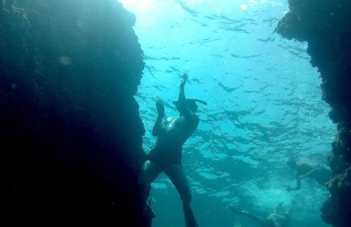 Apartamento con hermoso jardín y AC - Foto 33