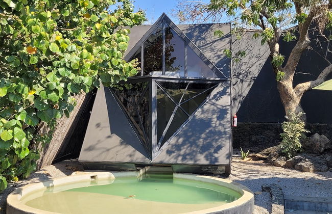 Bosque Geométrico - Foto 29