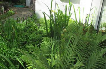 Ferienappartement in der Spielestadt - Foto 10