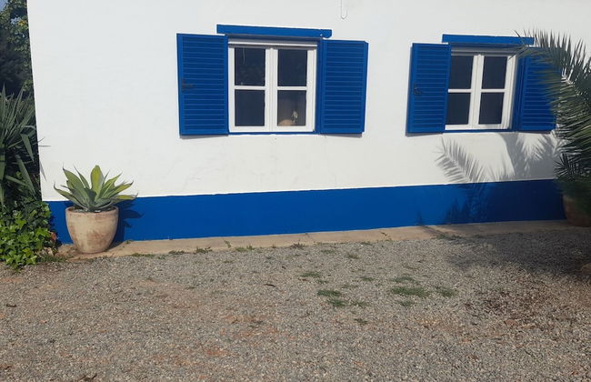 Casa da Vinha - Foto 16