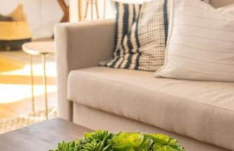 Hyde Park Comfort with Office Near Everything - Photo 3