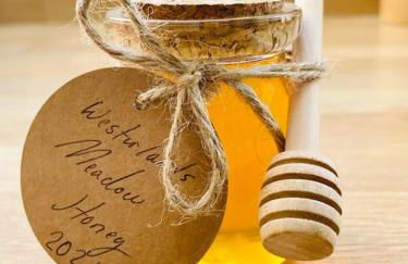 Barn Cottage -Westerlands - Foto 20