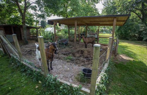 La Rimessa Ferienappartement - Foto 12