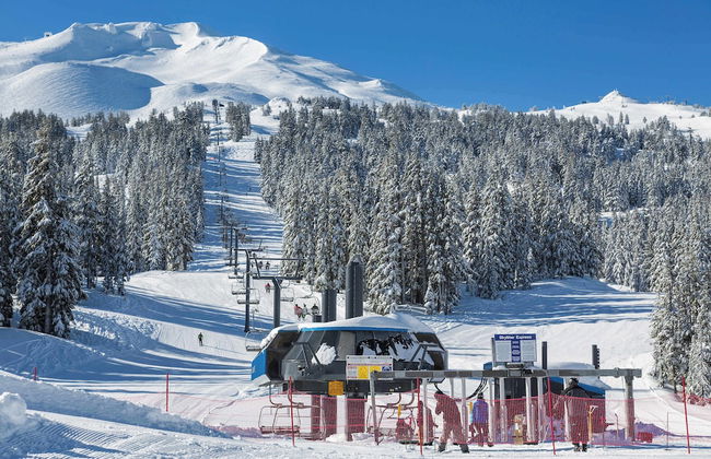 Pine Haven Lodge - Foto 25