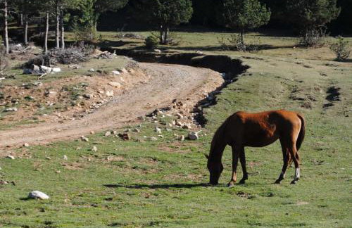 Apartamento con encanto en el Pirineo - Foto 24