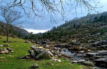 D'Oliva Gerês - River Side Houses - Foto 60