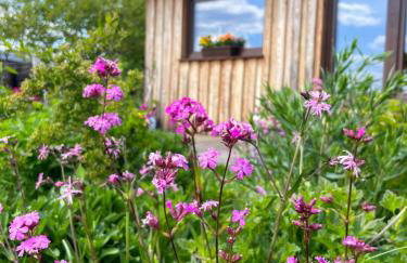 Leśny Zakątek Uroczysko -Apartamenty Nowoczesnej Stodoły - Foto 49