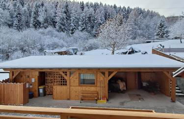 Appartamenti Penasa Renato - Foto 55