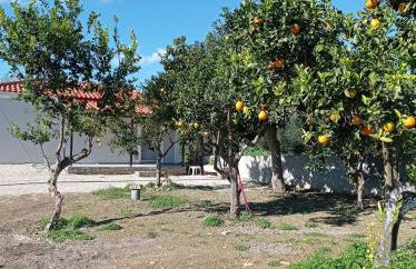 Avocado house - Photo 17