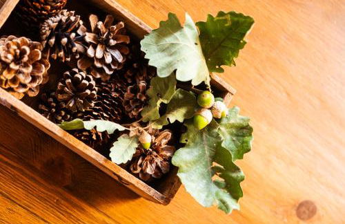 Apartaments Ca de Badia - Foto 49