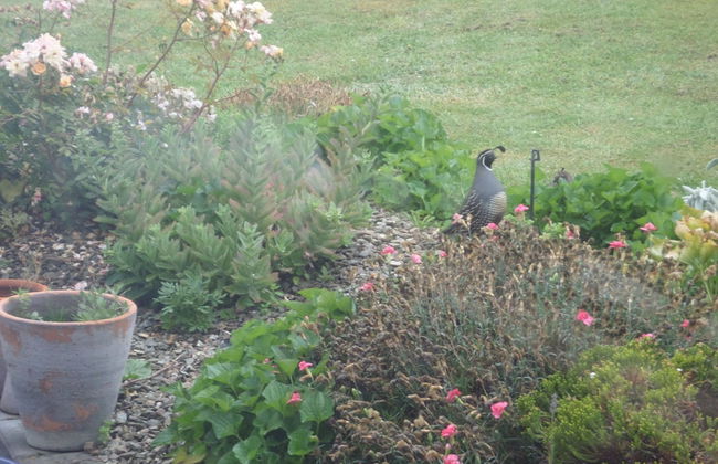 Central Chalets - Foto 69