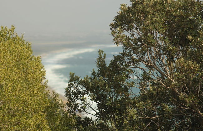 Villa Ada in Ansedonia - Foto 79