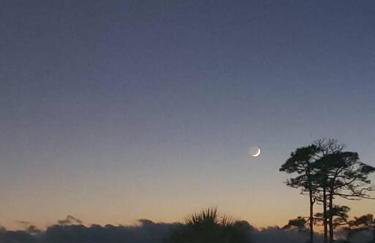 Lagniappe - a little something extra on the Gulf - Foto 20