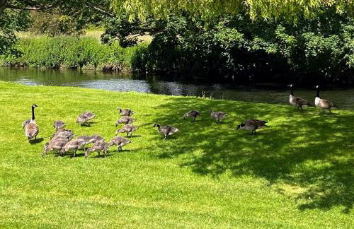 Riverbank Lodge - Foto 28