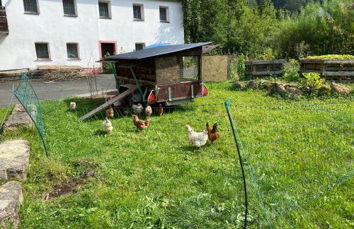 Gasthof zur Sägemühle - Foto 38