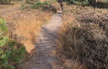 City-Apparte Boarding -Studios- Dein flexibles Zuhause in Gronau - Foto 57