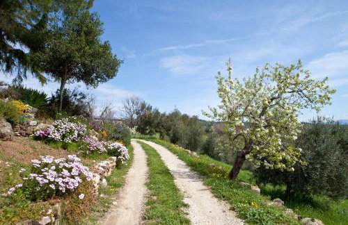 Poggio Diavolino - Suvereto - Foto 55