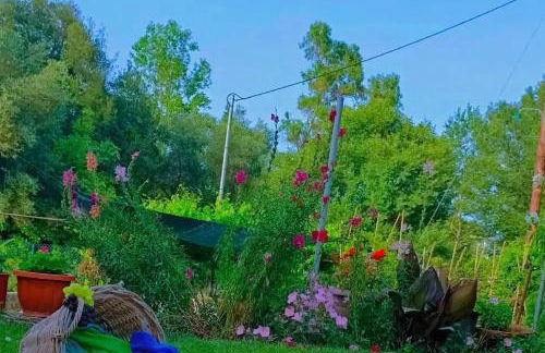 Venetton Garden House Corfu - Photo 1