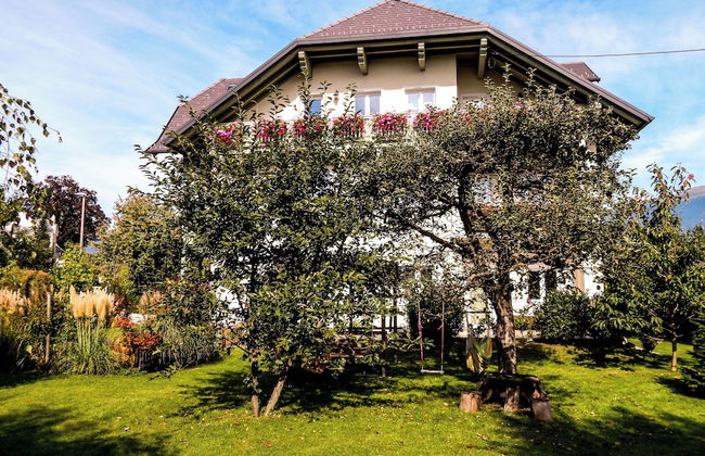 Apartments Vila Marjetica - Photo 43