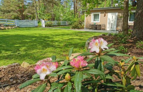 Sosnowy Azyl - Foto 27