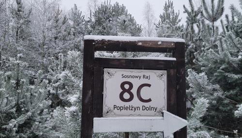 Sosnowy Raj domki nad rzeką Wkrą - Foto 4