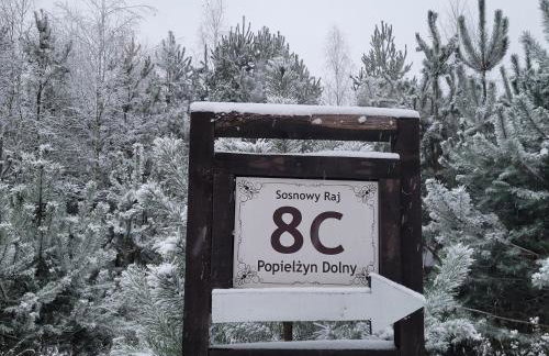 Sosnowy Raj domki nad rzeką Wkrą - Foto 4