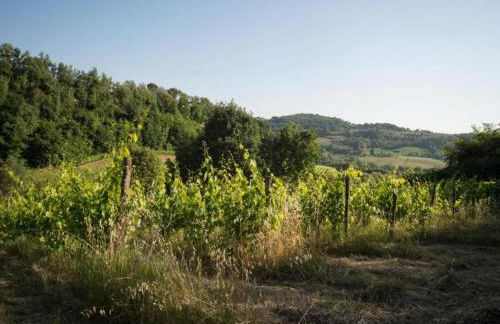 Tuscany Bliss: Garden Retreat - Foto 55