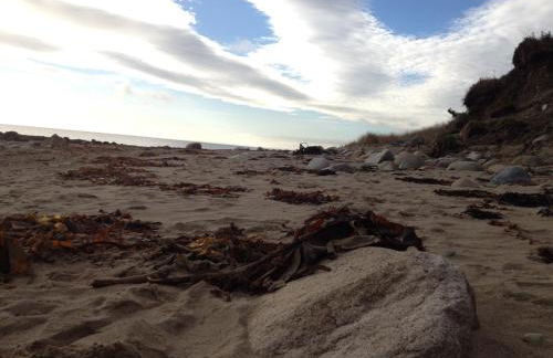 Greencastle - Foto 42