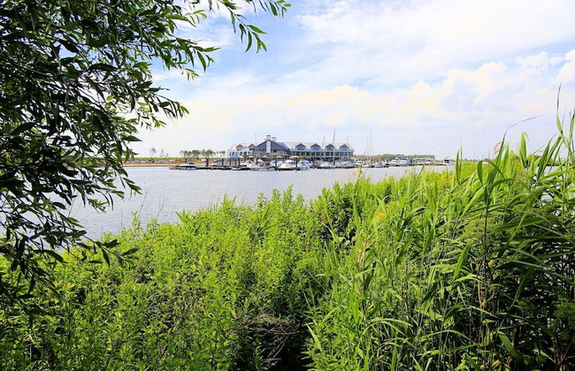 Villa Oesterdam Deluxe 6 Persons - Foto 37