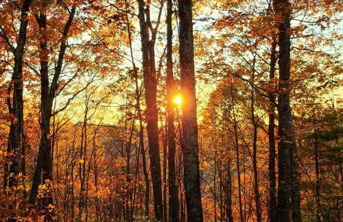 Stunning Views from the Fire Tower Cabin - Foto 39