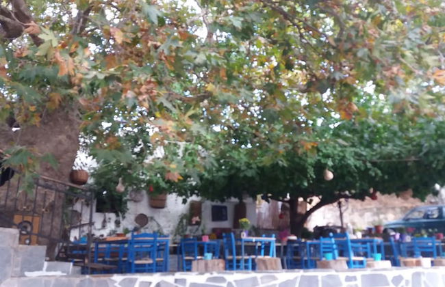 Petrinos Milos - Foto 15