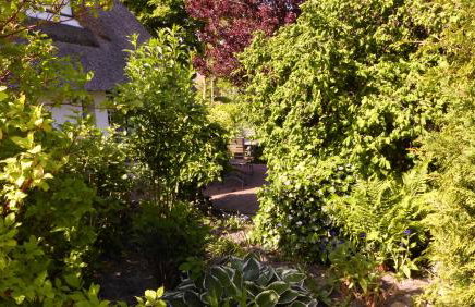 Refugium im Nordseewind - Foto 11