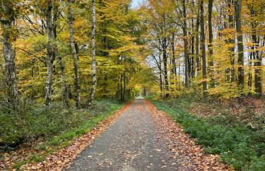 Modernes Haus mit Garten in Windberg, ruhig & zentral - Foto 23