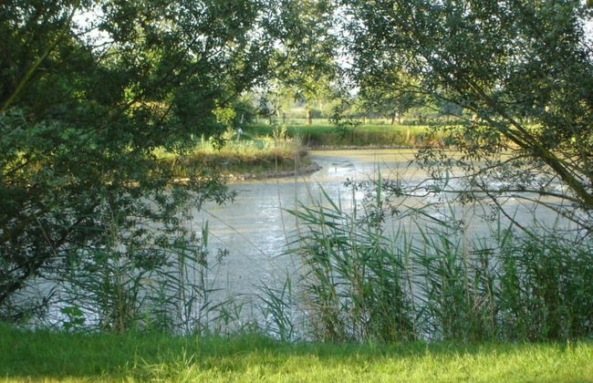 Charming Holiday Home in Gargas With Swimming Pool - Photo 39