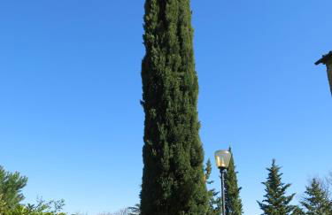 Agriturismo il Palagetto - Foto 36