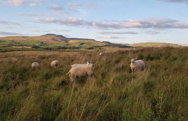 Lower Turnerford Farmhouse - Foto 8