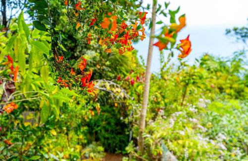 Casa do Jardim Botanico - Foto 57