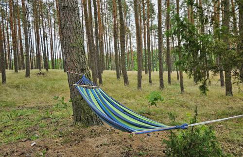 Jak Tu Sielsko - Foto 24