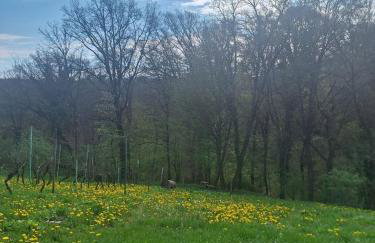 Drvena bajka - Photo 34