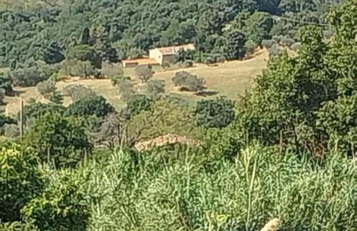 Luce di Toscana Cottage in pietra con giardino tutto in uso esclusivo - Foto 14