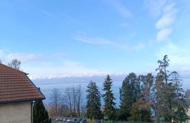 Apartment T2 facing the lake, 1 minute from the train station - Foto 9